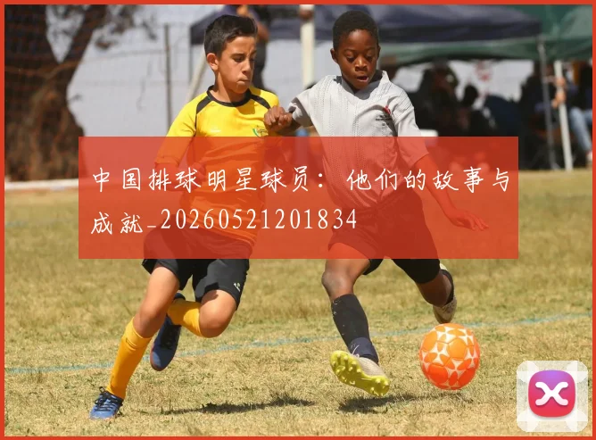 中国排球明星球员:他们的故事与成就_20260521201834